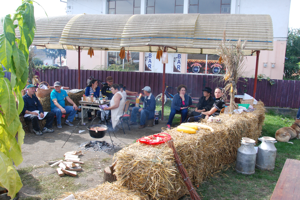 Ziua Recoltei T rnava 2015 24