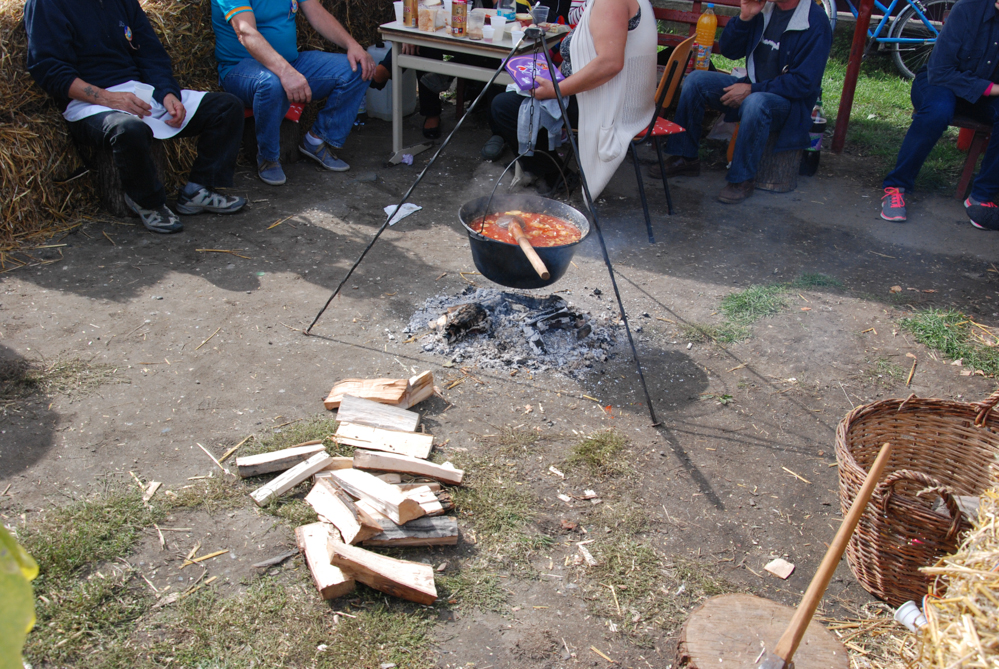 Ziua Recoltei T rnava 2015 25