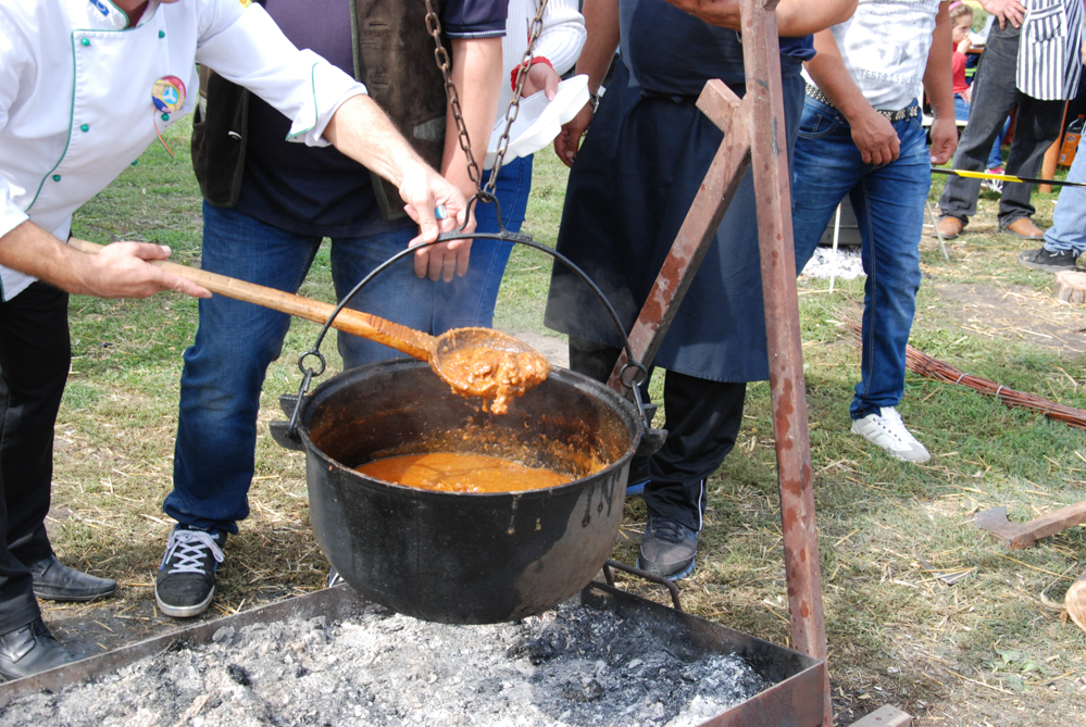 Ziua Recoltei T rnava 2015 43