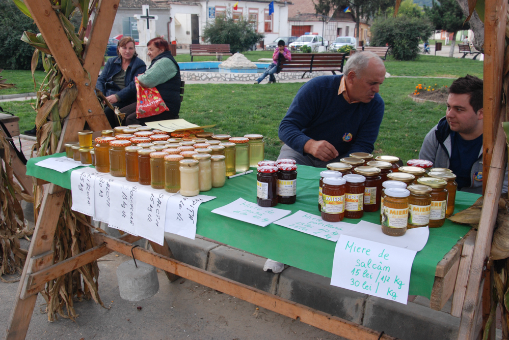 Ziua Recoltei T rnava 2015 76