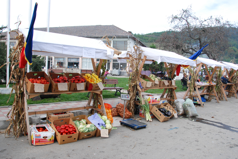 Ziua Recoltei T rnava 2015 84