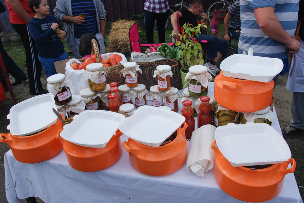 Ziua Recoltei T rnava 2015 86