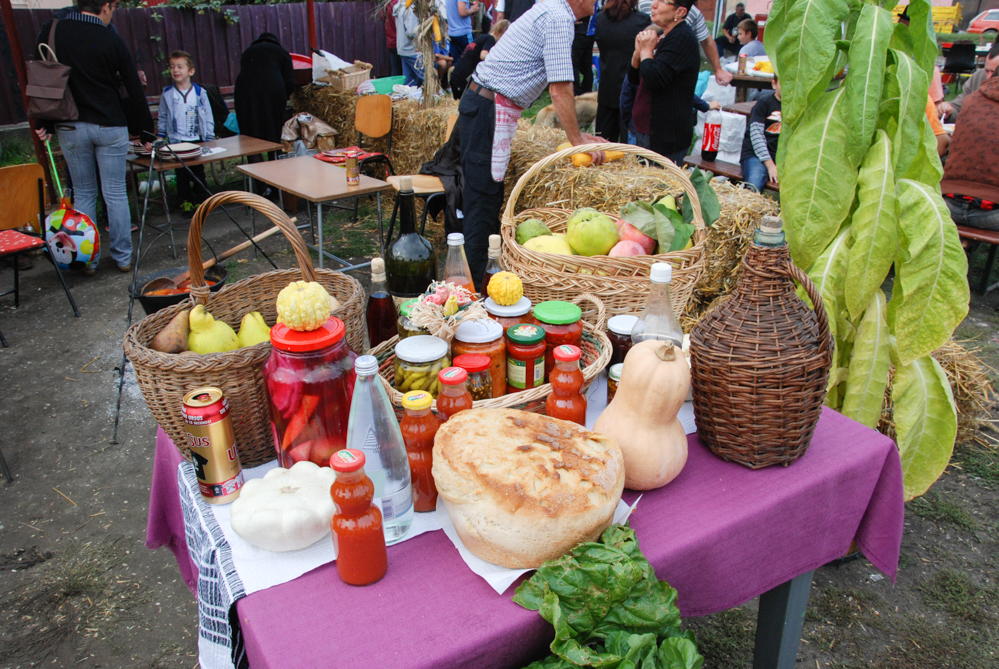 Ziua Recoltei T rnava 2015 89