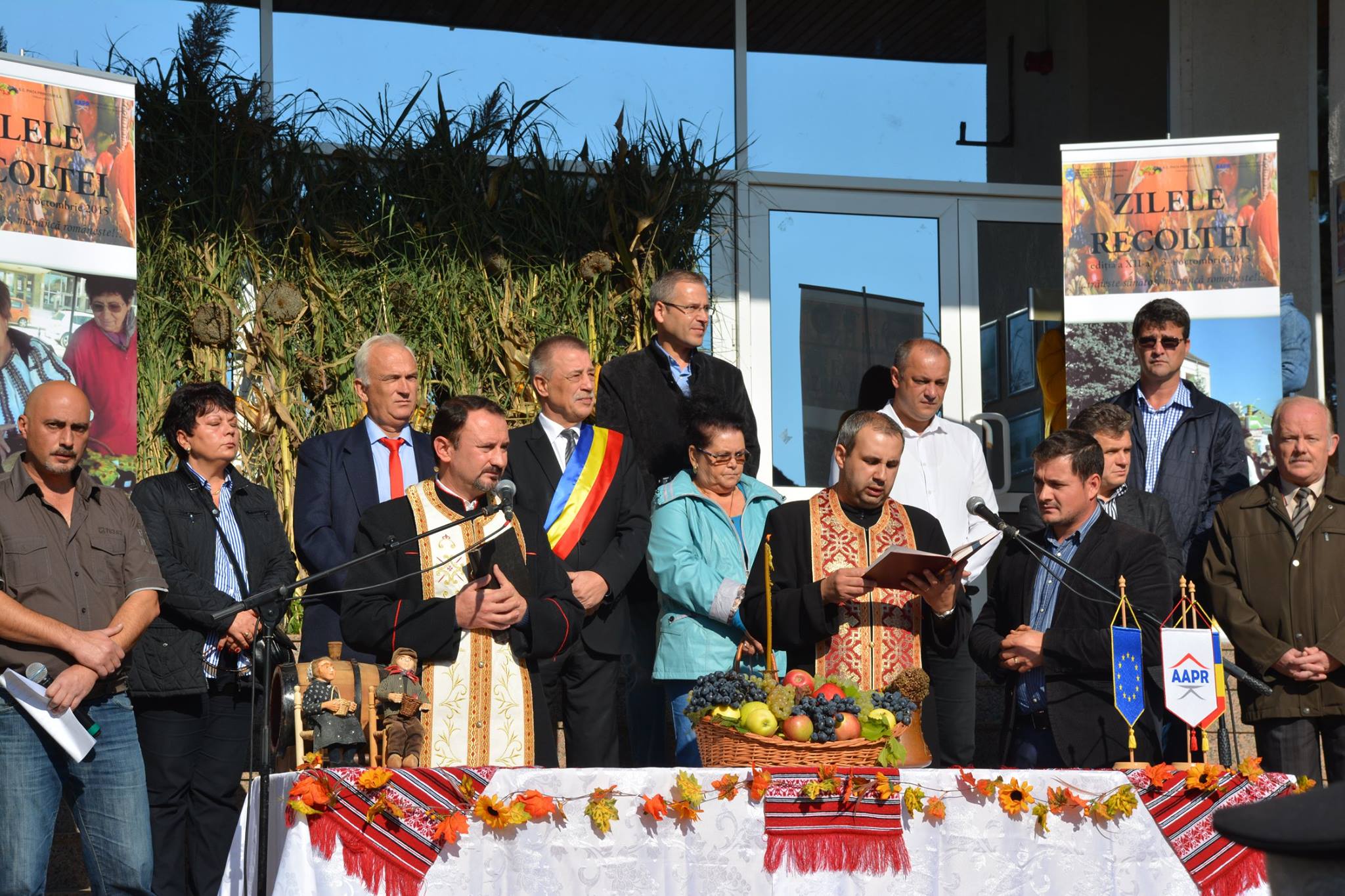 ziua recoltei medias 10