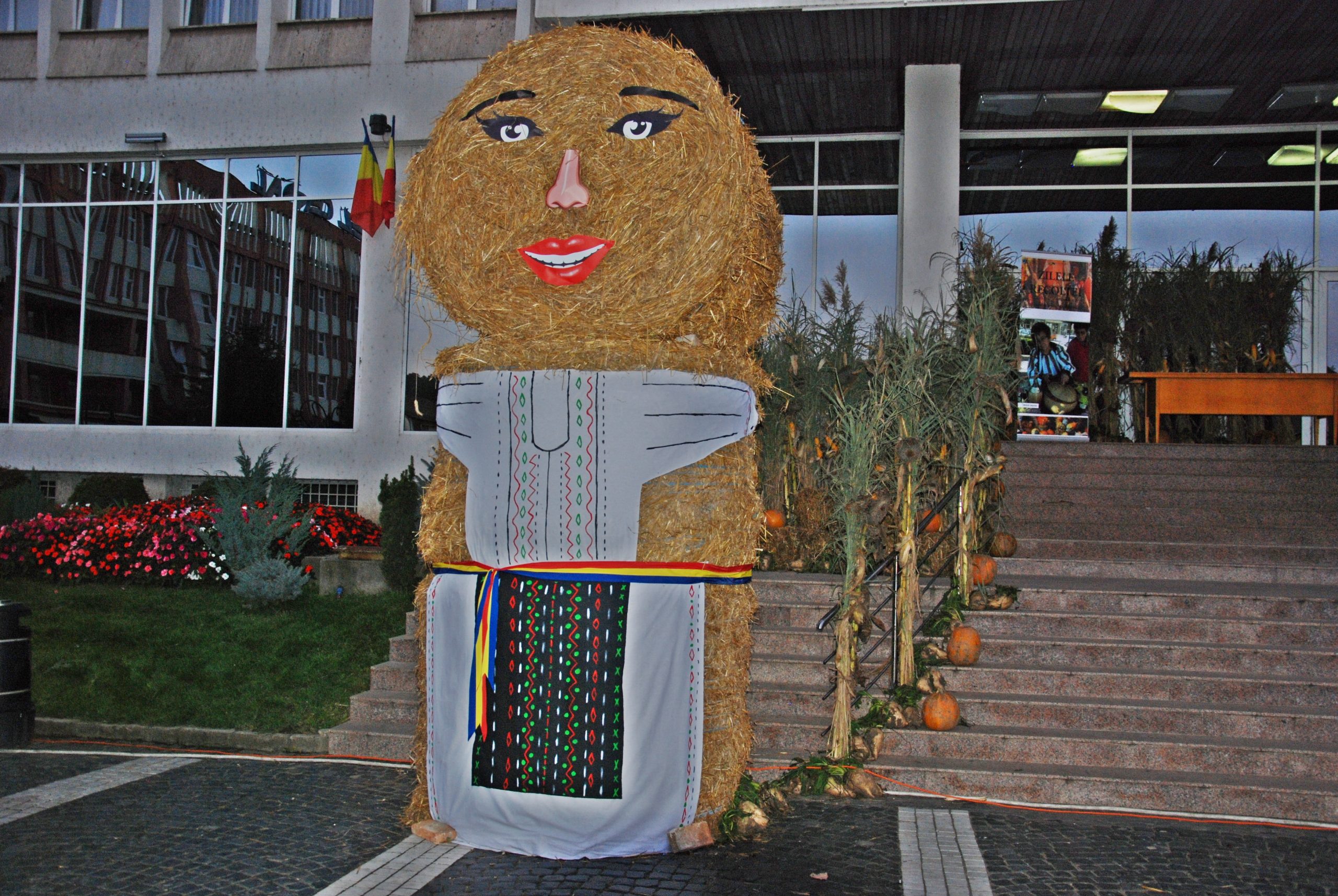 ziua recoltei medias 12