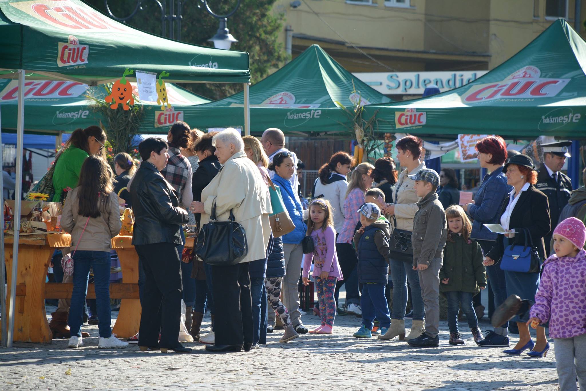 ziua recoltei medias 2