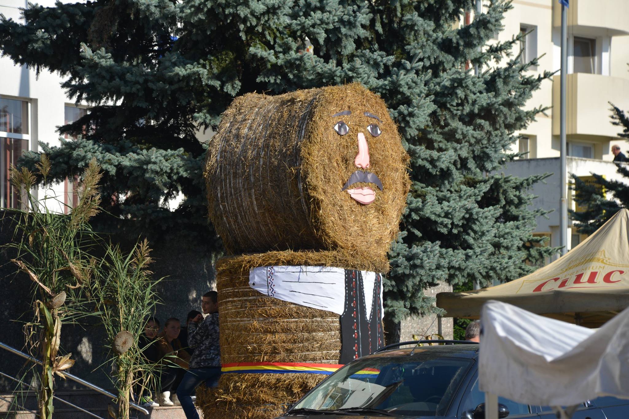 ziua recoltei medias 4