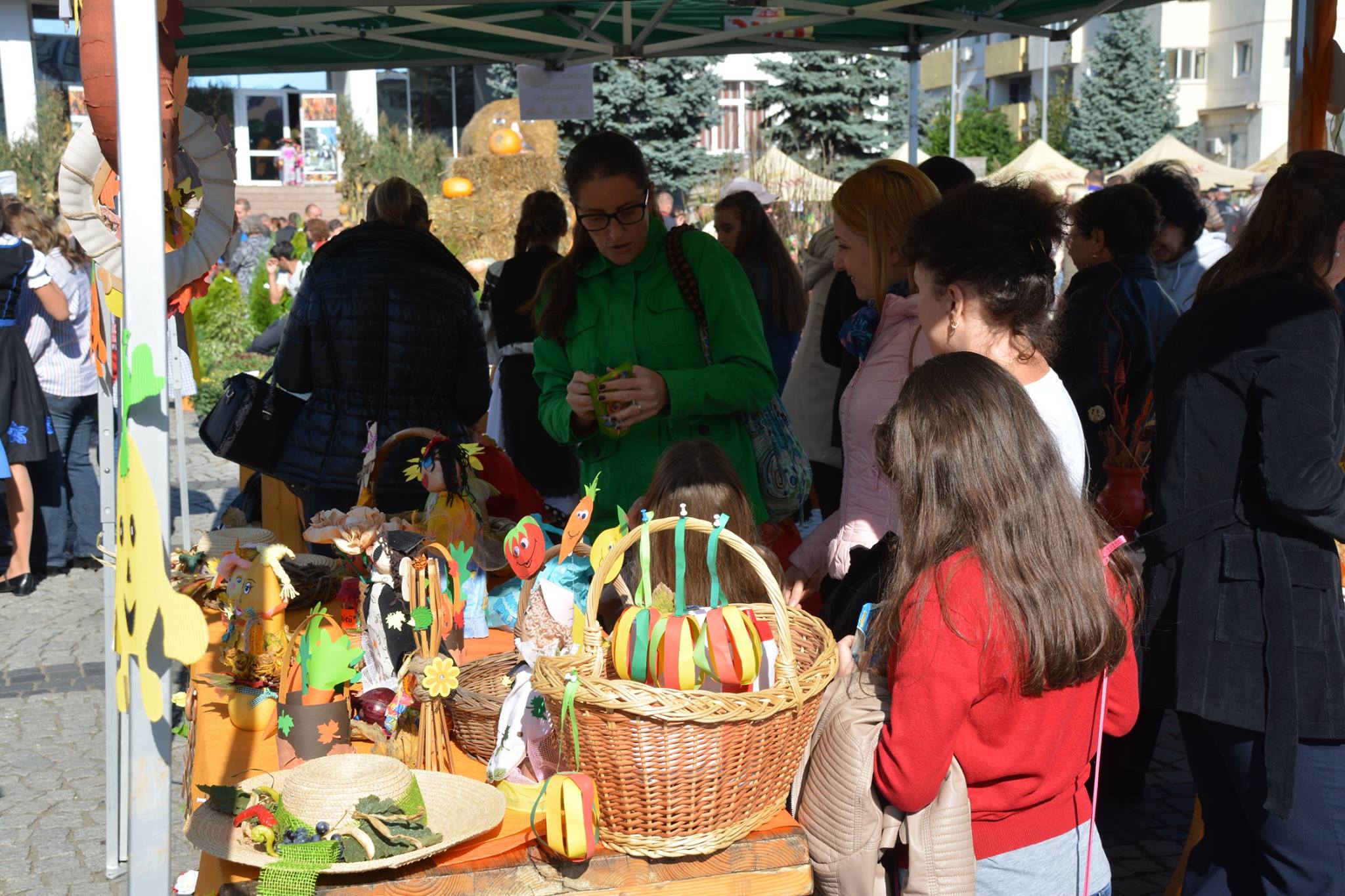 ziua recoltei medias 5