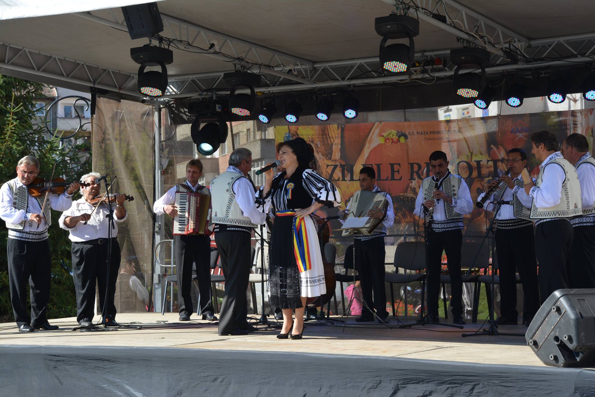 ziua recoltei medias 8