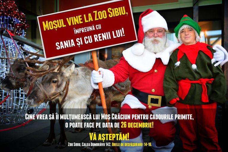 Moș Crăciun și doi dintre renii săi, la Zoo Sibiu