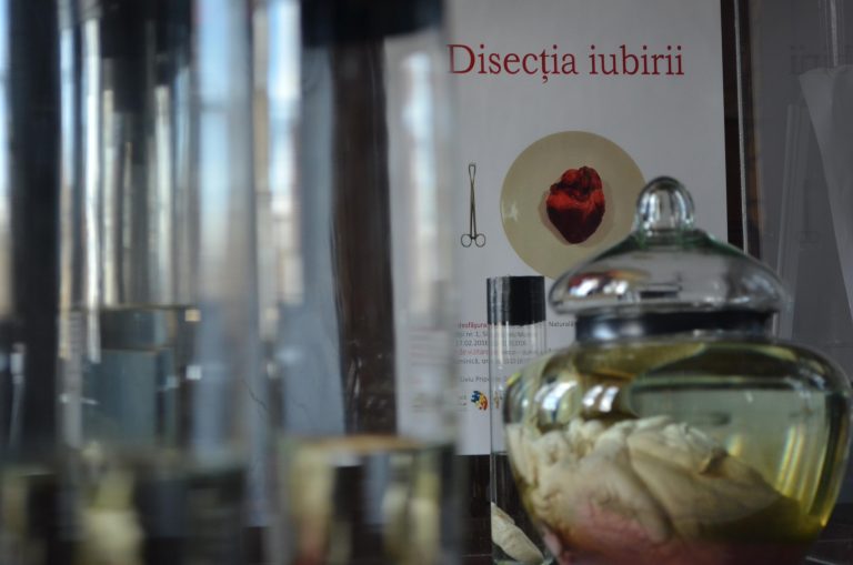 Expoziția „Disecția iubirii” la Muzeul de Istorie Naturală