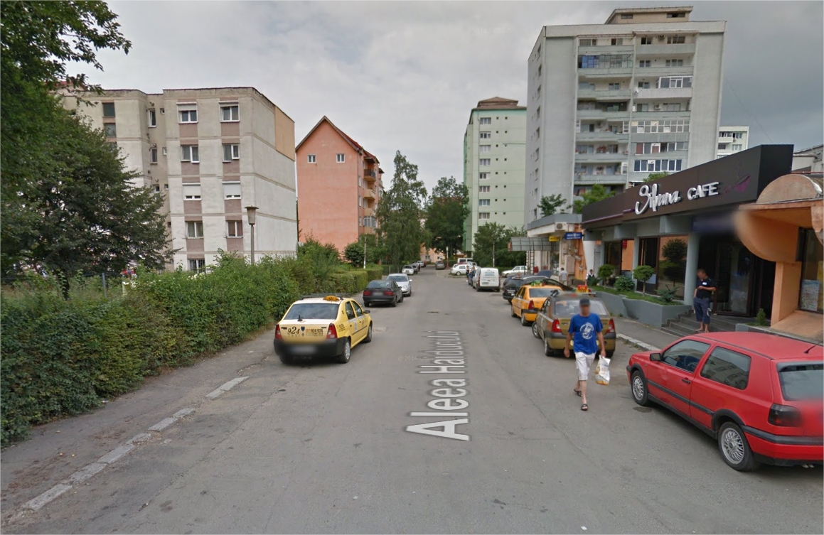 Modernizarea Aleii Haiducului începe la sfârșitul lunii martie