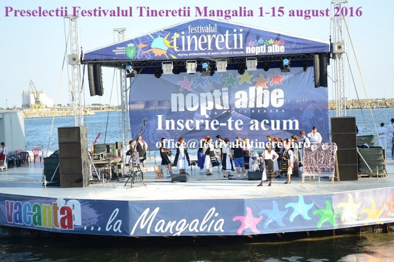 Editia a XII-a – „Festivalul Tinereții”