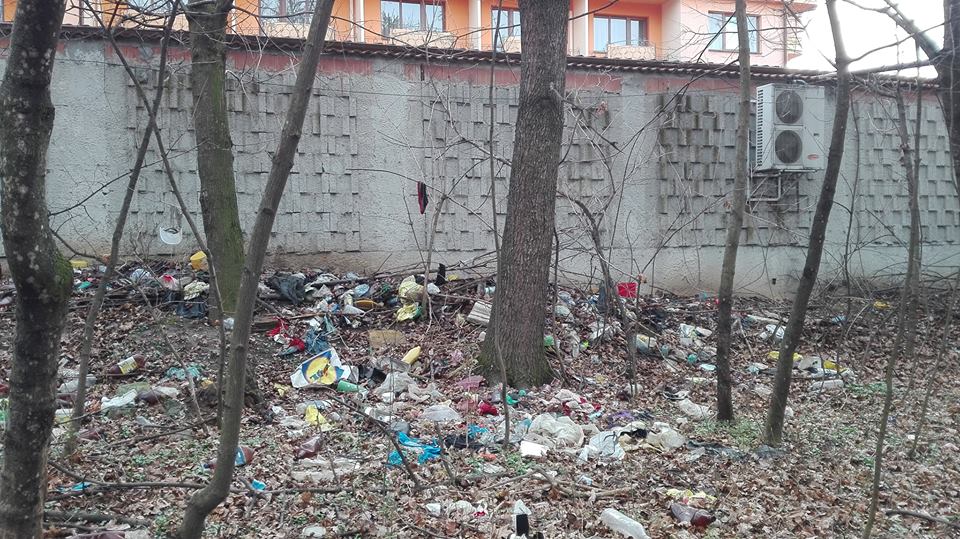 Curățenie în Parcul Sub Arini