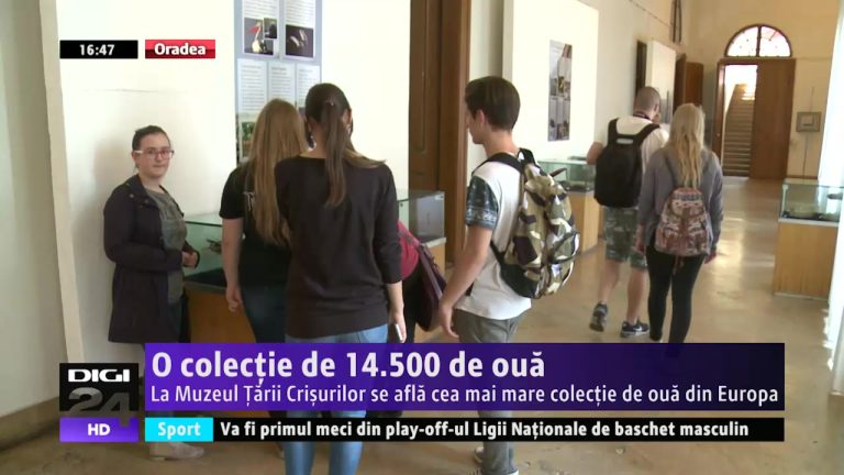 La Oradea se află cea mai mare colecţie de ouă din Europa, cu nu mai puţin de 14.500 de exponate