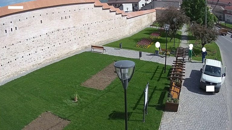 Amendați cu 500 de lei pentru că aruncau pe jos cojile de semințe