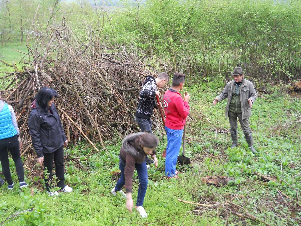 Peste 200 de copaci plantaţi la Marpod