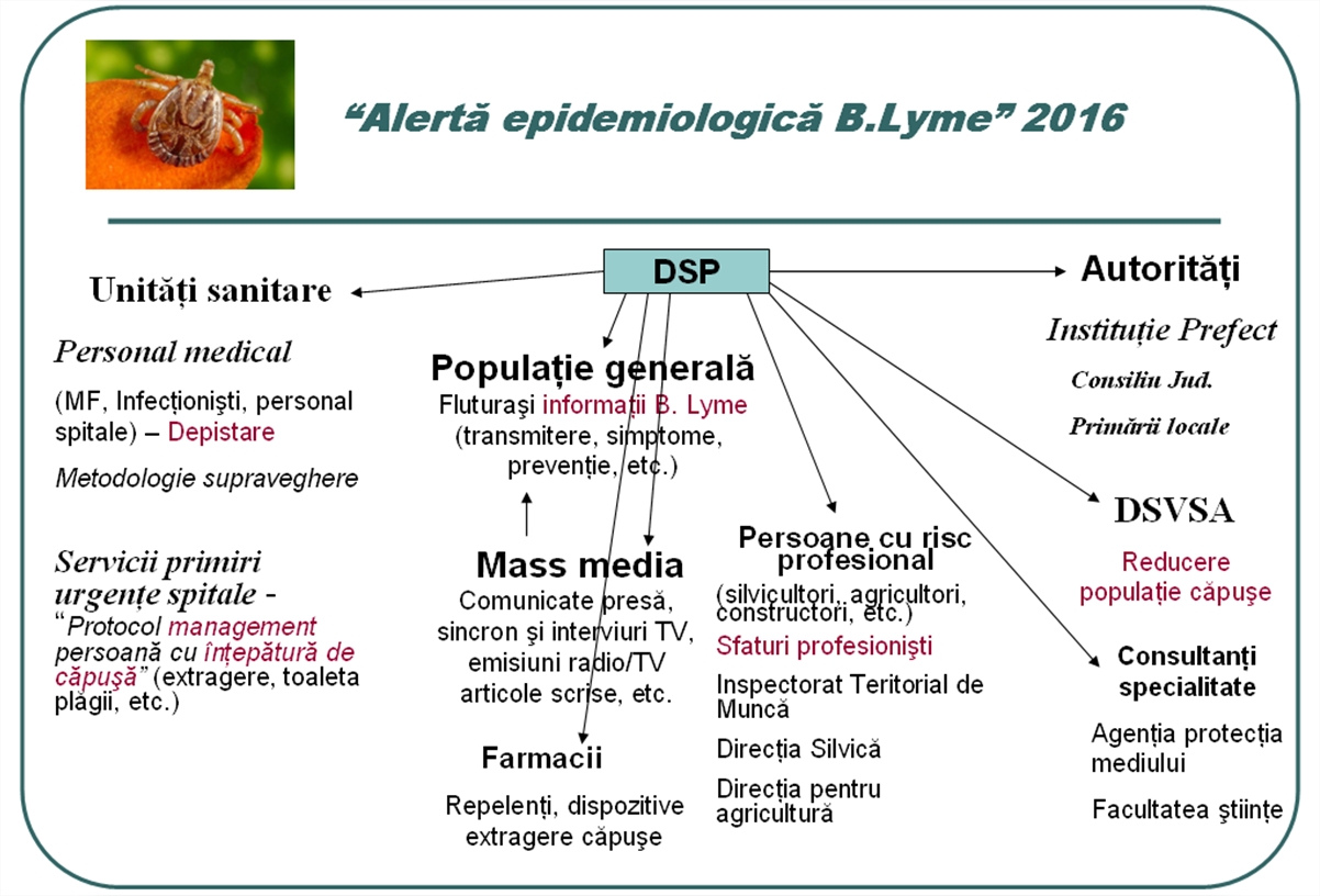 Alertă epidemiologică pentru boala Lyme