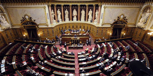 Senatul a respins reexaminarea Statutului aleşilor locali