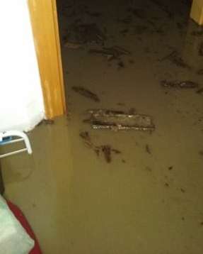 GALERIE FOTO – Dezastru în comuna Bazna: 300 de hectare de culturi agricole afectate și zeci de case inundate