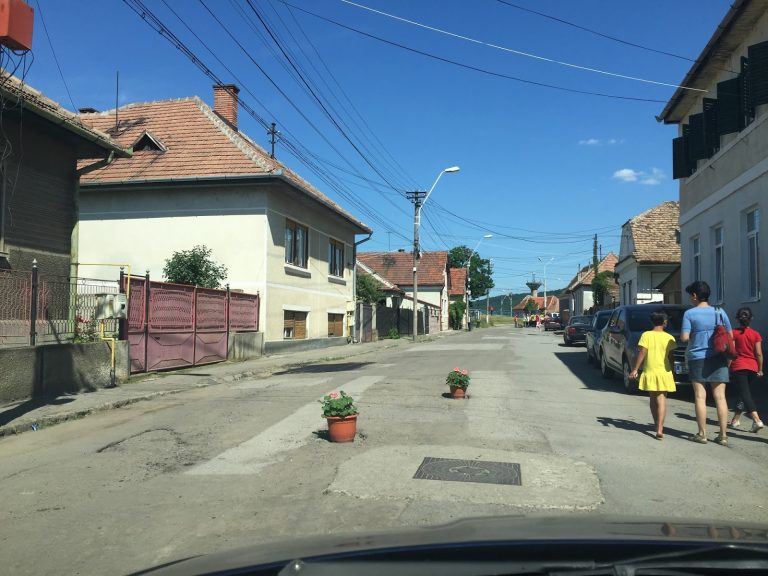 GALERIE FOTO: Au asfaltat o stradă din Mediaș cu….ghivece cu flori