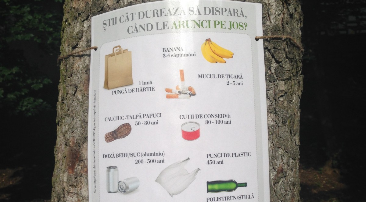 Curățenie cu cei mici în Parcul Sub Arini