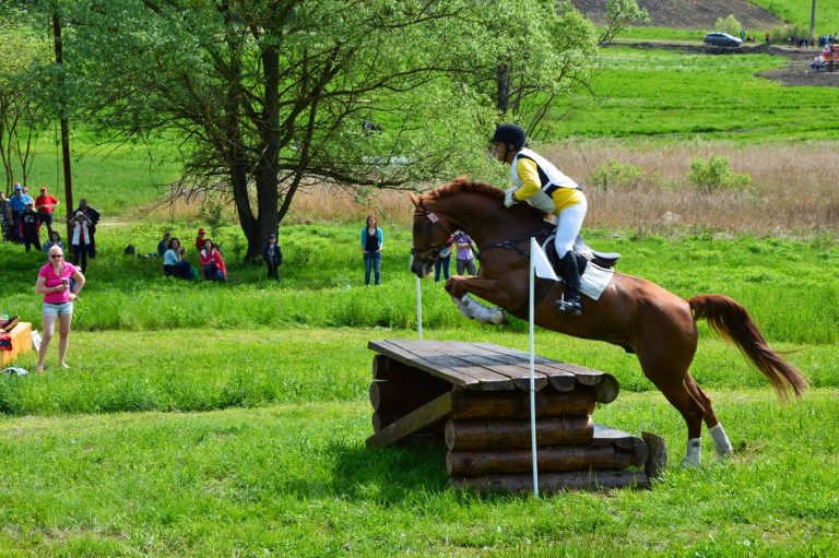 Vineri începe “fenomenul” Transylvania Horse Show