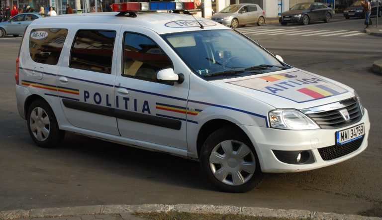 Propunere MAI: Ce se va întâmpla cu punctul-amendă