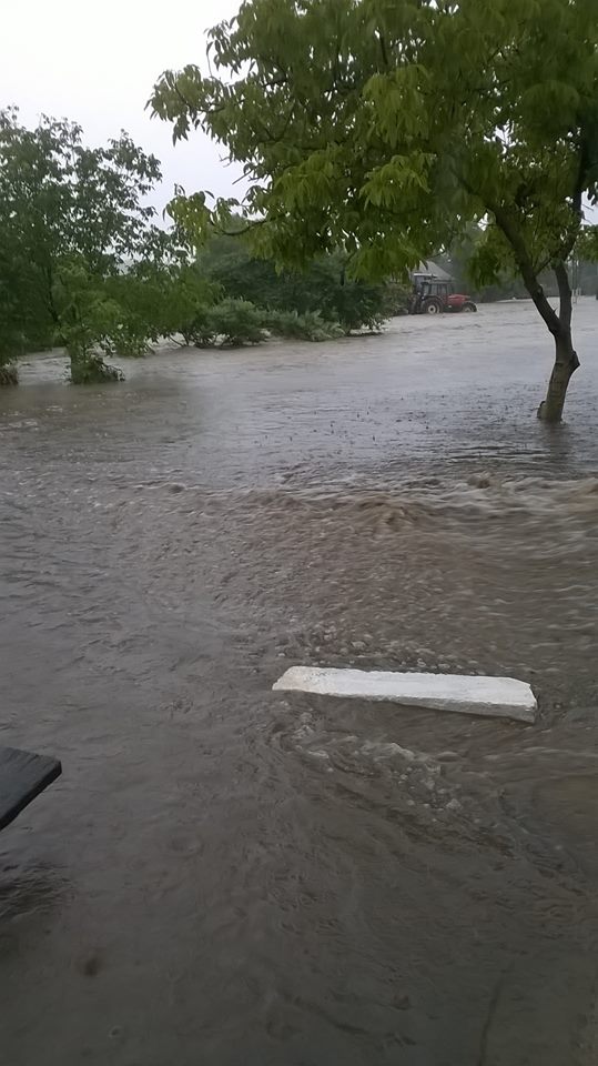 GALERIE FOTO – Bazna și două localități, sub ape. Ploaia a făcut prăpăd
