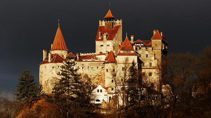 Expozitie de pisici la Castelul Bran