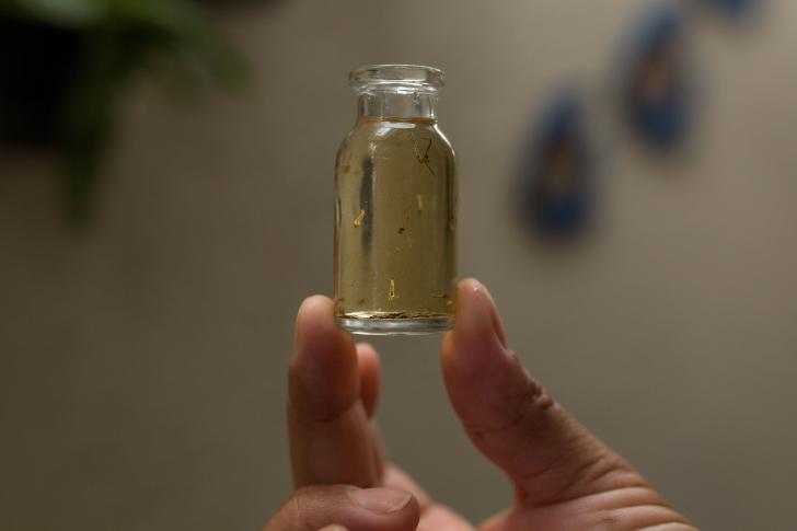 Al treilea caz de Zika confirmat în România