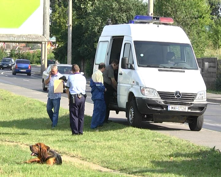 UPDATE: Violatorul din Ştrand a fost prins, el este recidivist