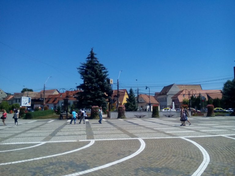 Mediașul, sufocat de mirosul de gunoi de păsări