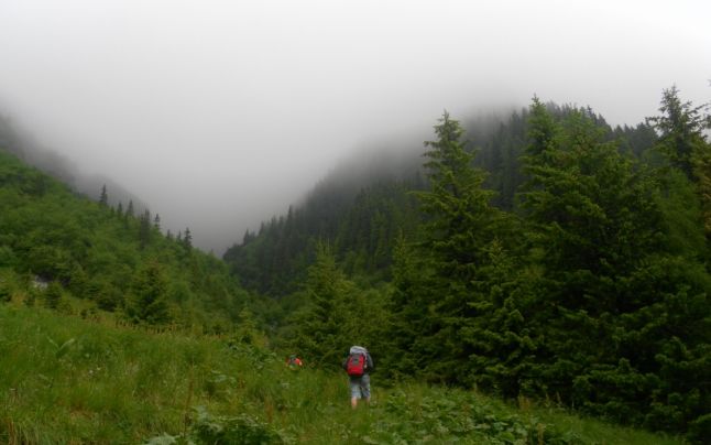 Normele de atestare a produselor montane au fost aprobate de Guvern. Ce este produsul montan