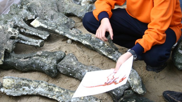 Oamenii de ştiinţă au făcut o descoperire uimitoare la o specie de dinozaur găsită în România