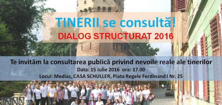 Tinerii din Sibiu și Mediaș, la consultări în rețeaua tineREȚEA