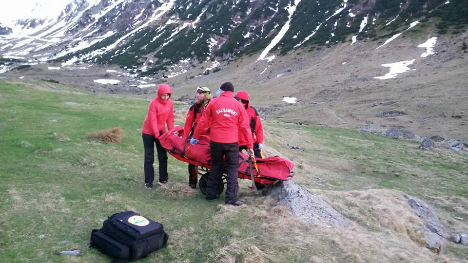 Cioban muşcat de câini în munţi, căutat toată noaptea de salvamonişti