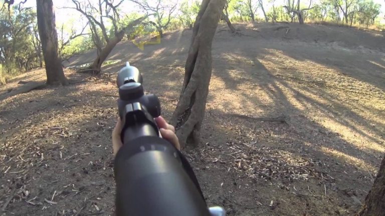 O armă și mai multe cartușe, confiscate de polițiștii sibieni