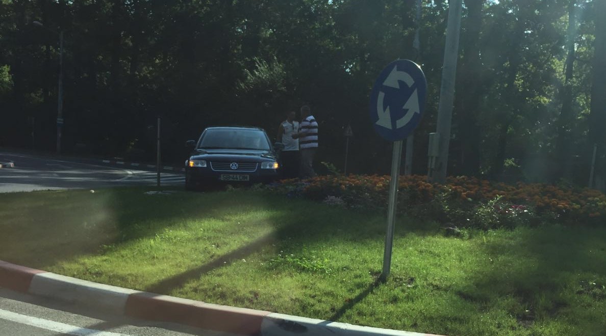 Mare-i grădina Domnului și mulți sar…sensul giratoriu