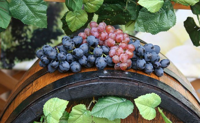 Festival al Vinului, la Cisnădioara. Va fi aleasă și o…Regină