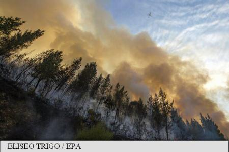 Incendiile de pădure continuă să facă ravagii