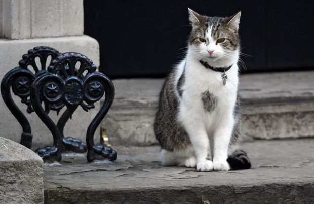 Răfuiala din Downing Street10