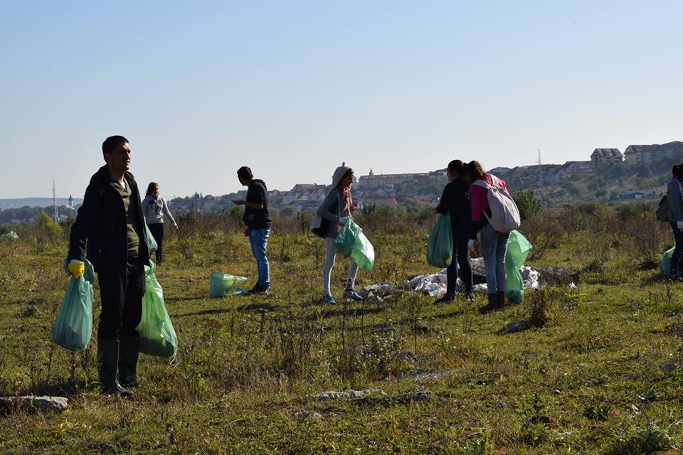FOTO: Preşedinta Consiliului Judeţean şi prefectul au făcut curăţenie