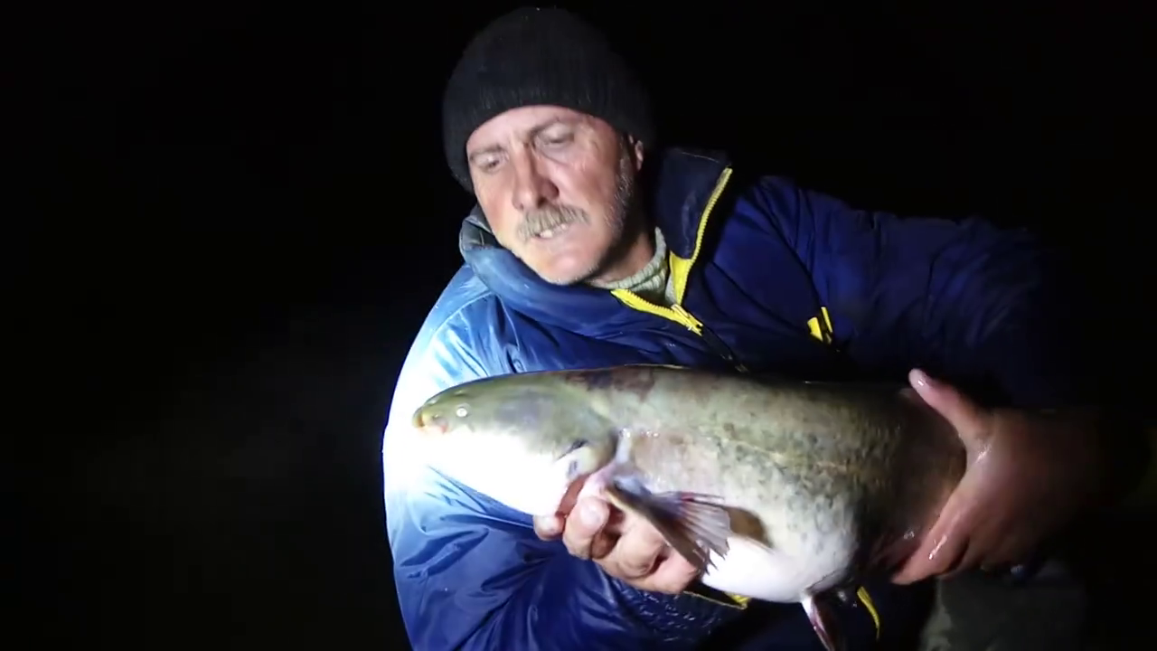VIDEO: Peste 100 de kilograme de peşti salvaţi din mâna braconierilor