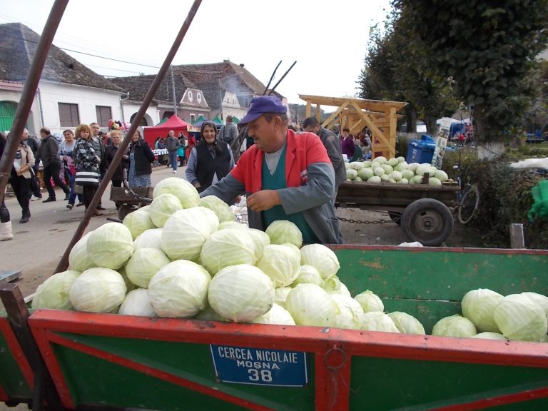 GALERIE FOTO – De 10 ani varza este sărbătorită la Moșna