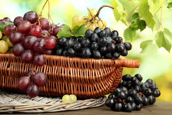 Producţia de vin a României va înregistra cea mai mare creştere din lume