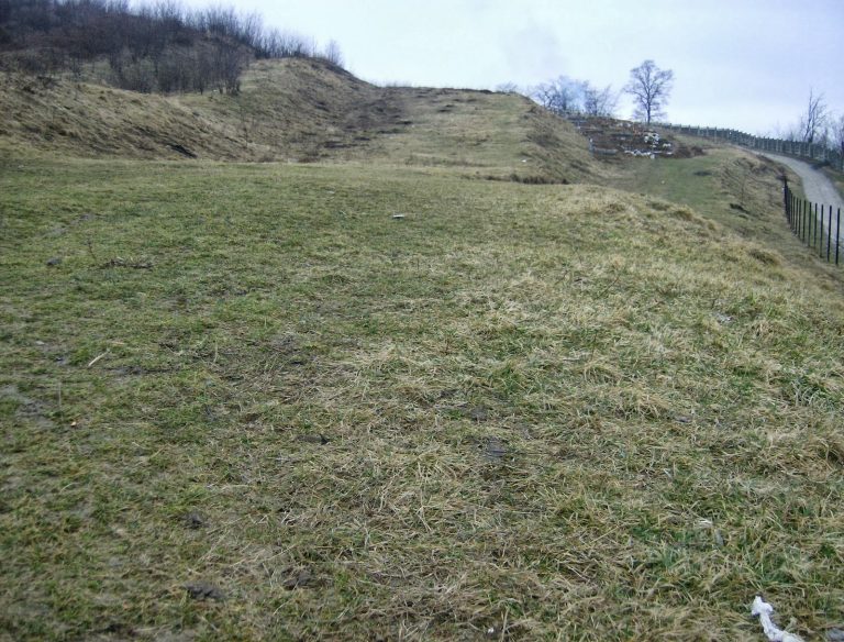 Terenuri pentru tinerii din Mediaș care își construiesc locuințe