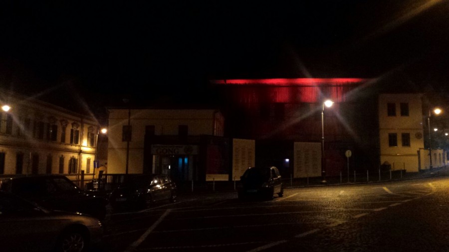 Teatrul GONG, roșu în memoria puiului de urs