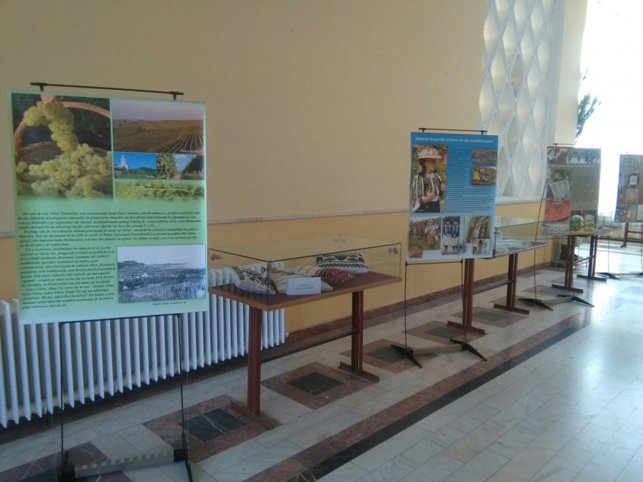 Călători în Țara Vinului, marca Cindrelul-Junii Sibiu