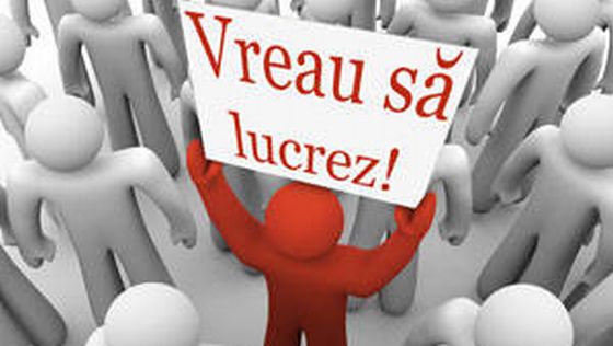 Cauţi un loc de muncă? Ai de unde alege în această săptămână